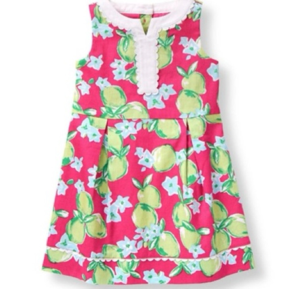 Janie and Jack dobby dress lime print Pink Green Dress girls size 3 preppy